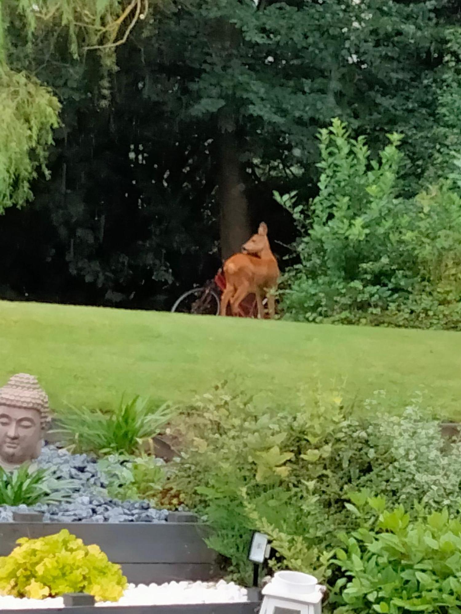 Le Grenier De Mamou Hotel Hesdigneul-les-Boulogne Bagian luar foto
